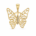 motyl.png