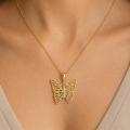 motyl dekold.png